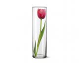SIMAX Váza sklenìná DRUM II 27,5 x 8,4 cm
