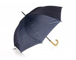 PRETTY UP Deštník 62 cm, modrá kostka