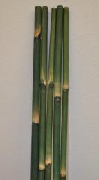 Bambusov ty 5 - 6 cm, dlka 2 metry - barven zelen