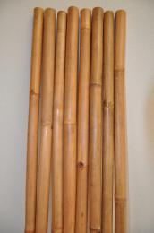 Bambusová tyè 3- 4 cm, délka 2 metry - lakovaná medová