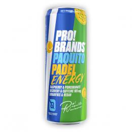 PRO!BRANDS DRINK PADEL ENERGY330MLMALINA/GRAN. JAB